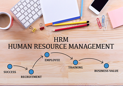 Executive in Human Resource